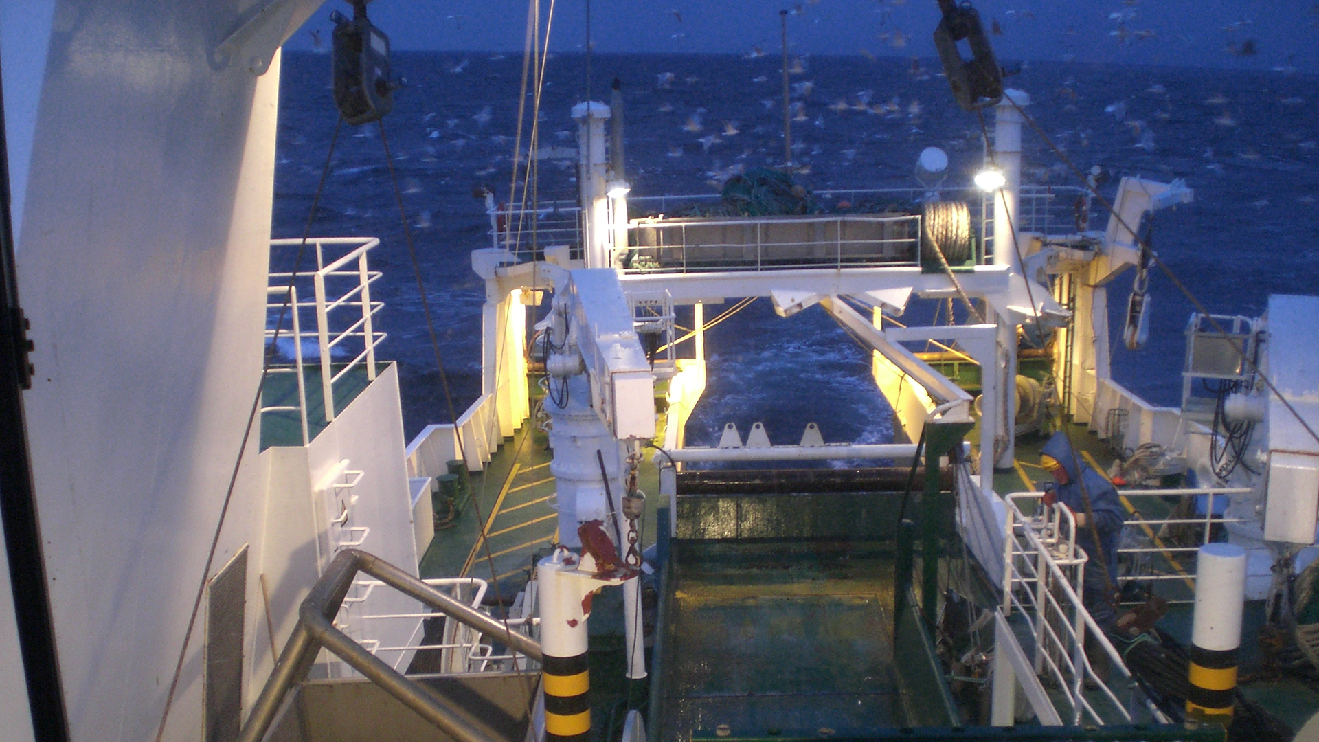 Dana on the BITS survey in November ©DTU Aqua Dana on the BITS survey in November