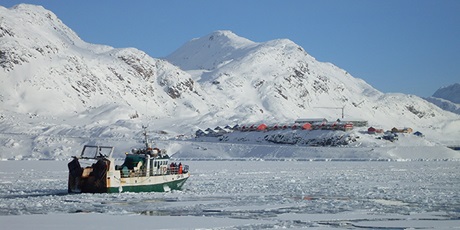 Fiskekutter med isbjerg i baggrunden. Foto Colourbox