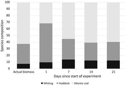 Table with test results from analysis of DNA from fish silage