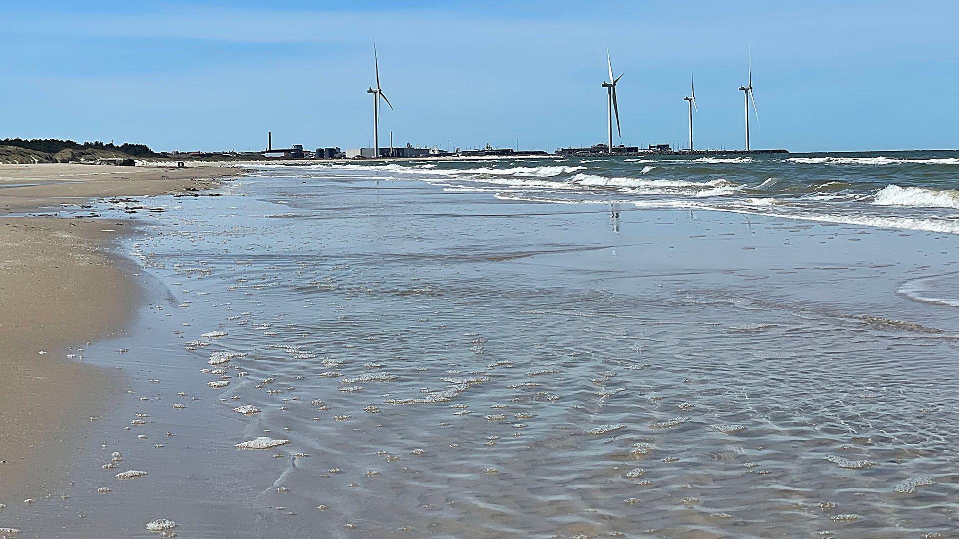 BlueBlioClimate seminar in Hirtshals 2025, photo by Anne Trap-Lind