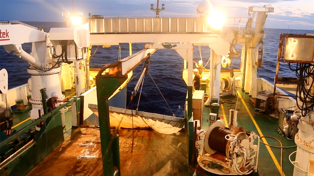 Screenshot from video of Peter Munk's work