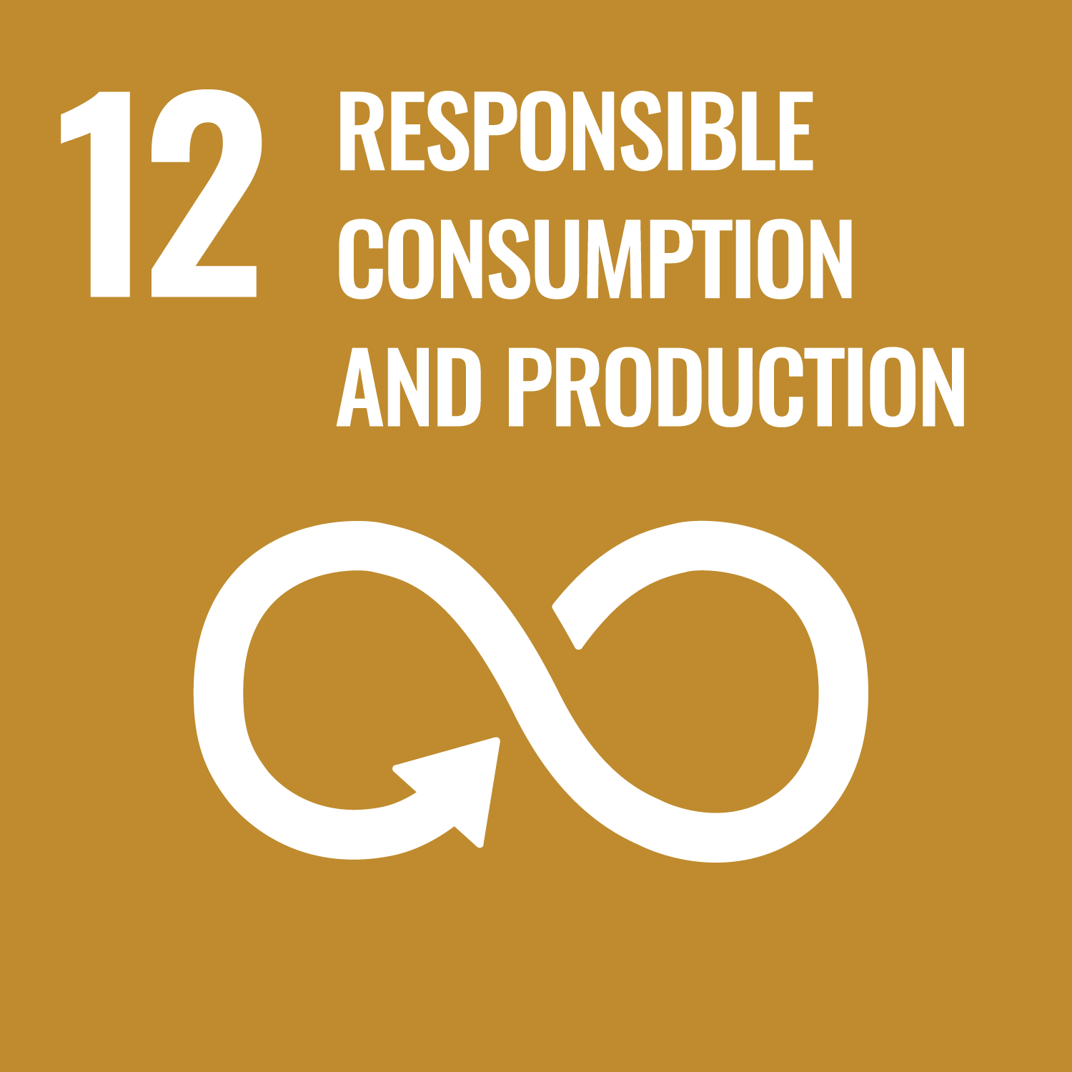 SDG #12