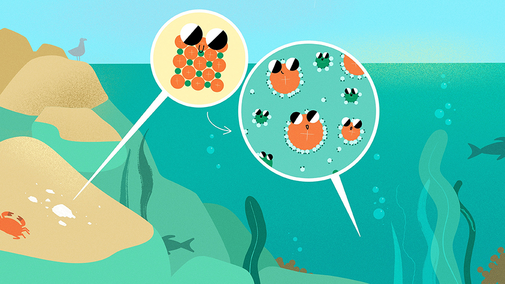 Salt in the ocean ©Frontier 2024 Salt in the ocean