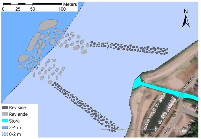 lllustration of rocky reef in Lillebælt Nature Park