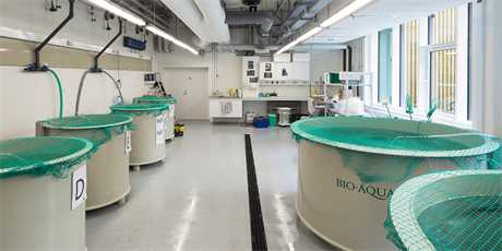 Experimental facility for work with fish. Photo: Hampus Berndtson