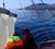 Evandro Malanski arbejder på sin ph.d.-afhandling om lodde- og torskelarvers fødevalg i den subarktiske Kapisigdlit Fjord samt fødevalget for andre fiskelarver i hele Godthåbsfjord-systemet. Photo: Evandro Malanski