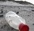Plastflaske på strand. Foto: Thomas Kirk Sørensen