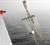 DTUs store havforskningskib Dana undersøger livet i Østersøen.