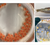 Æg fra regnbueørred. T.h.: Regnbueørred-yngel med skindlæsion forårsaget af F. psychrophilum samt re-isolering af bakterien fra inficerede fisk. Fotos: V.L. Donati. 