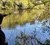 Radio tracking in River Minho (Iberian Peninsula). Photo: Patrícia Ferreira.