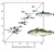 Thermal traits of fish eggs indicate vulnerability of different species and stocks to climate change