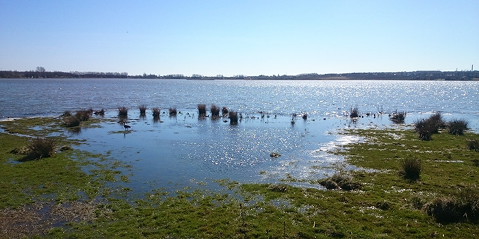 Egå Engsø.