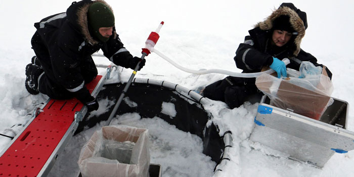 Kristine Toxværd’s field experiments with crude oil were conducted using specially designed semi-open mesocosms deployed in sea ice at Svalbard. Photo: Line Reeh.